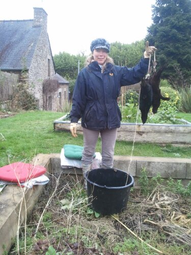 CameraZOOM-20130107145107661.jpg image