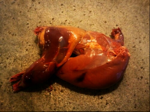 hdr_00043_0.jpg image