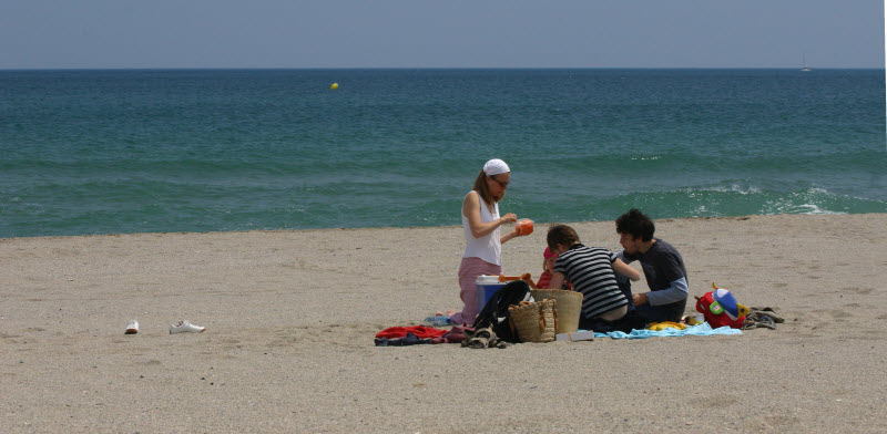 Ferme de découverte