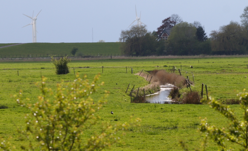Promenade dans le West-Hammerich